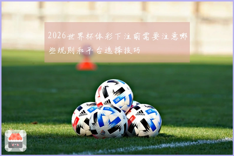 2026世界杯体彩下注前需要注意哪些规则和平台选择技巧