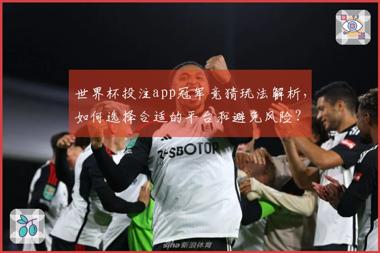 世界杯投注app冠军竞猜玩法解析，如何选择合适的平台和避免风险？